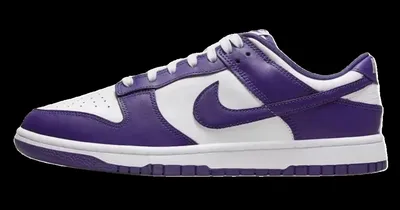 Nike Dunk Court Purple